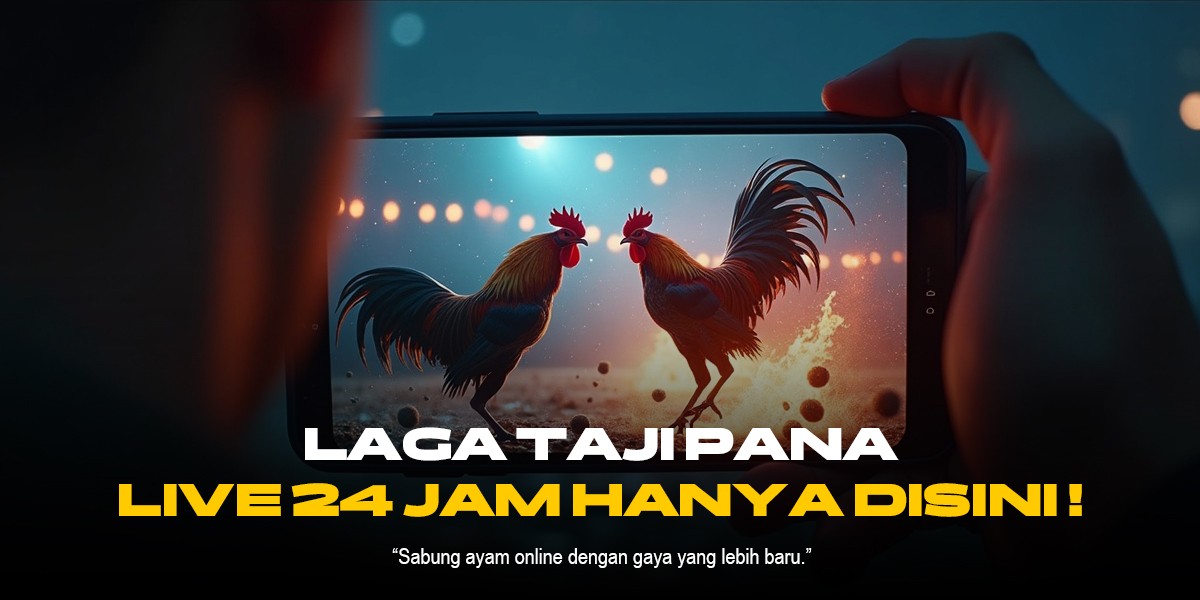 Mengenal Jenis Ayam Aduan SV388 dan Odds Terbaik Sabung Ayam