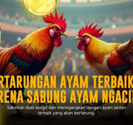 Keunikan Ayam Bangkok di Dunia Sabung Ayam Online