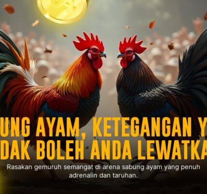 Jenis Ayam Bangkok: Raja Sabung Ayam yang Dominan