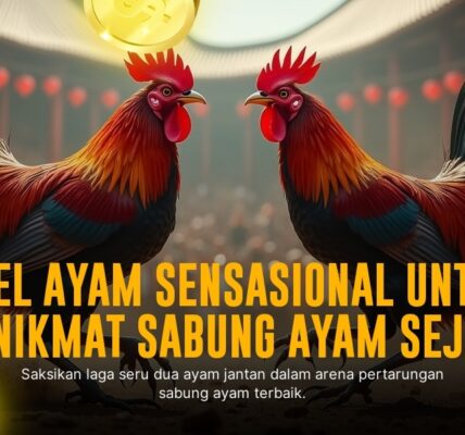 Galur Ayam Birma: Raja Sabung Ayam dengan Peluang Menang Tinggi
