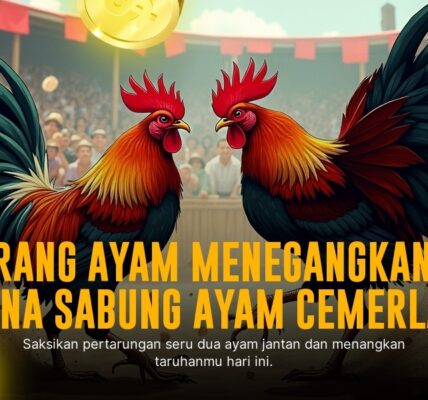 Kenali Ayam Bangkok, Raja Sabung Ayam dengan Odds Menguntungkan di SV388